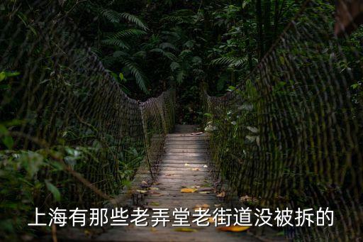 上海有那些老弄堂老街道沒被拆的