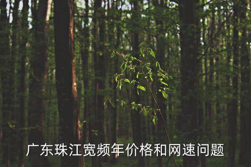 廣州珠江帝景網速，廣州有線珠江寬頻的上網速度如何具體多少