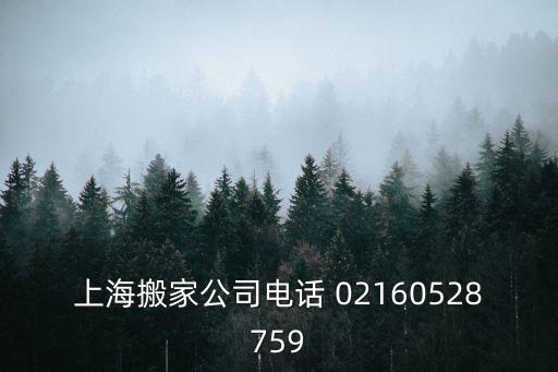 上海搬家公司電話 02160528759