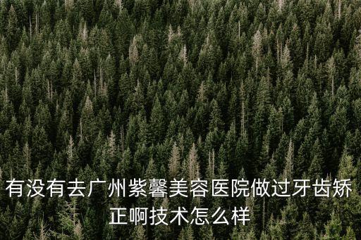 有沒有去廣州紫馨美容醫院做過牙齒矯正啊技術怎么樣