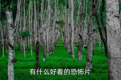 好看的恐怖片，有什么好看的恐怖電影