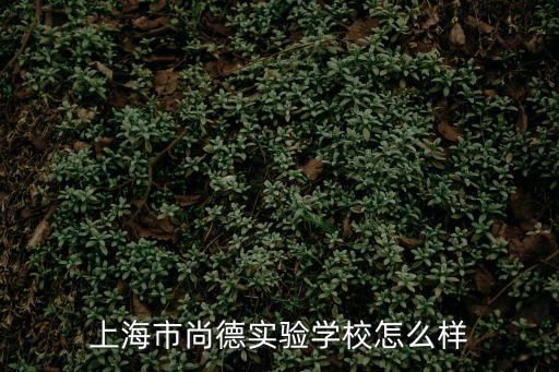 上海市尚德實(shí)驗(yàn)學(xué)校有多少名學(xué)生，上海赫德一個(gè)班有多少個(gè)學(xué)生