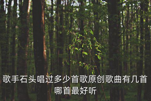 快手廣州石頭的歌曲，石頭唱的歌都有哪些還有最新的歌是什么知道的幫忙說下謝咯