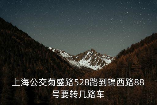 上海公交菊盛路528路到錦西路88號要轉幾路車