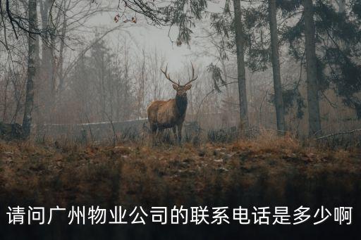 請問廣州物業公司的聯系電話是多少啊