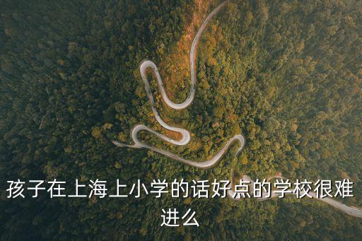 上海市大寧路小學好進嗎，有在上海大寧國際小學讀書的小朋友家長嗎這個學校教學質量好嗎