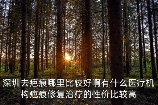 廣州西合abs與威柏科，深圳去疤痕哪里比較好啊有什么醫(yī)療機構疤痕修復治療的性價比較高