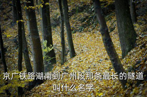 湖南到廣州隧道，開小車從湖南婁底出發(fā)到廣州要經(jīng)過幾個隧道