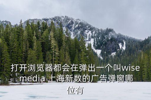打開瀏覽器都會在彈出一個叫wise media 上海新數的廣告彈窗哪位有