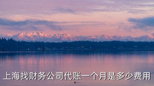 上海找財務公司代賬一個月是多少費用