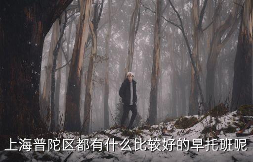 上海市普陀區(qū)暑托班哪家有名，普陀區(qū)托兒所哪家比較好啊