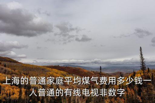 上海市煤氣費怎么算，上海天然氣的計算方法
