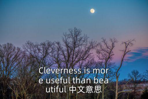 Cleverness is more useful than beautiful 中文意思