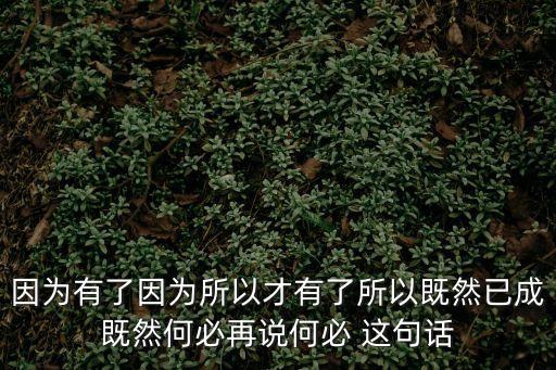 何必再說，因為有了因為所以才有了所以既然已成既然何必再說何必 這句話