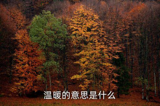 溫馨的意思，什么樣才叫溫馨