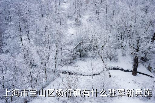 上海市寶山區(qū)楊行鎮(zhèn)有什么駐軍新兵連