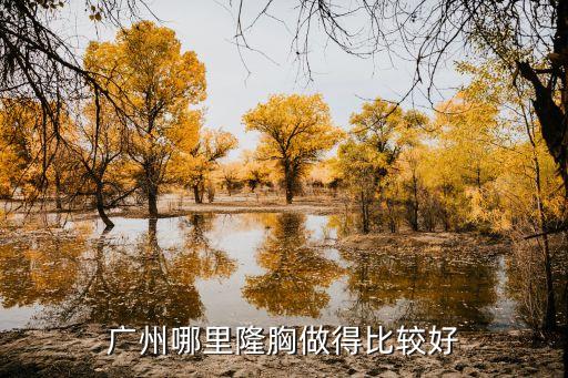 廣州哪里隆胸做得比較好