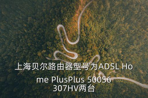 上海貝爾路由器型號為ADSL Home PlusPlus 500S6307HV兩臺