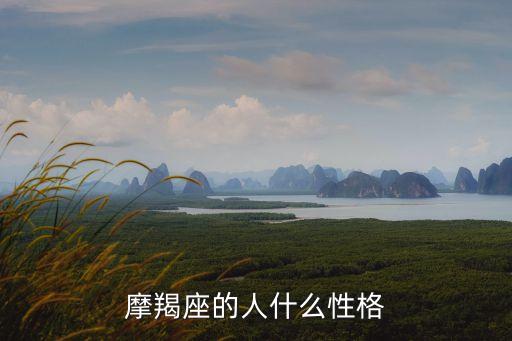摩羯座的，摩羯座是怎樣的一個人