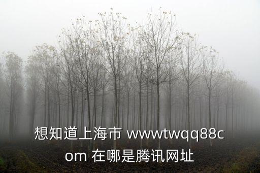 想知道上海市 wwwtwqq88com 在哪是騰訊網(wǎng)址