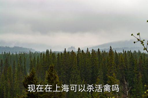 現在在上海可以殺活禽嗎