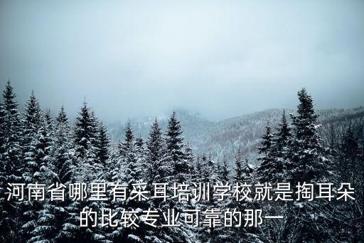 河南省哪里有采耳培訓學校就是掏耳朵的比較專業可靠的那一