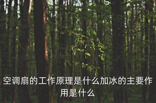 廣州塑料噴頭，請問廣州南沙區大涌村是否有集團公司