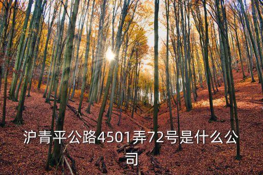 滬青平公路4501弄72號是什么公司