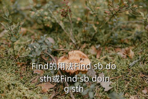 Find的用法Find sb do sth或Find sb doing sth