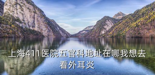 上海411醫(yī)院五官科地址在哪我想去看外耳炎