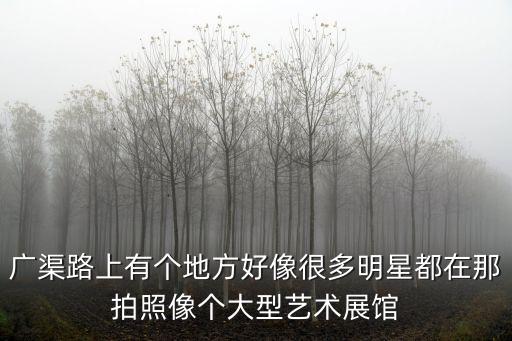 廣渠路上有個地方好像很多明星都在那拍照像個大型藝術(shù)展館