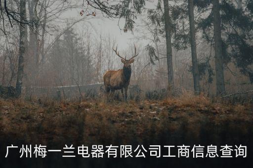 廣州偉騰集團張記清，在深圳東莞及廣州有一幫長期跟蹤的犯罪團伙是什性質的犯罪集團