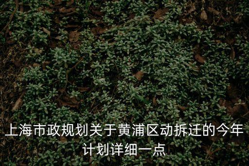 上海市政規劃關于黃浦區動拆遷的今年計劃詳細一點