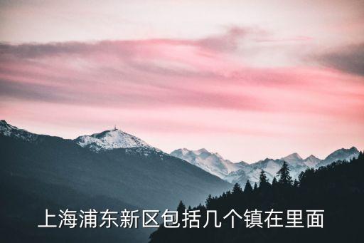 上海浦東新區包括幾個鎮在里面