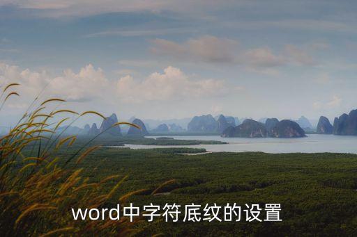 word中字符底紋的設置