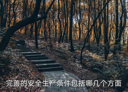 安全生產要求，完善的安全生產條件包括哪幾個方面