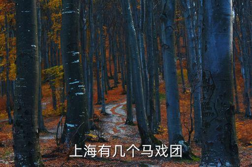 上海有幾個馬戲團