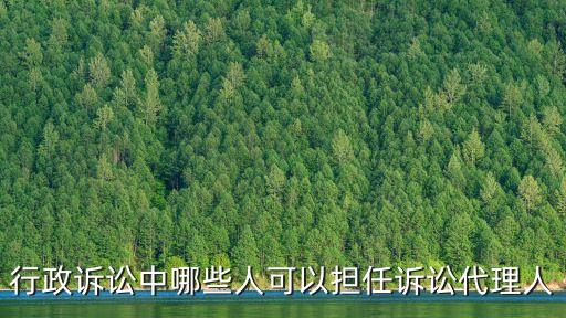 行政訴訟中哪些人可以擔任訴訟代理人