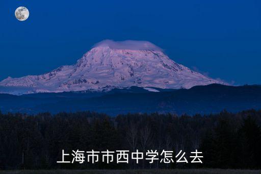 上海市市西中學怎么去