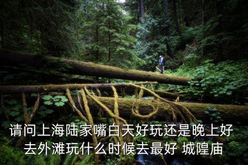上海市下午休閑時光，請問上海陸家嘴白天好玩還是晚上好 去外灘玩什么時候去最好 城隍廟