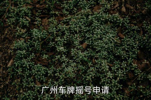 2017 8月廣州搖號(hào)，廣州小客車(chē)8月?lián)u號(hào)查詢