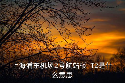 上海浦東機(jī)場(chǎng)2號(hào)航站樓  T2是什么意思