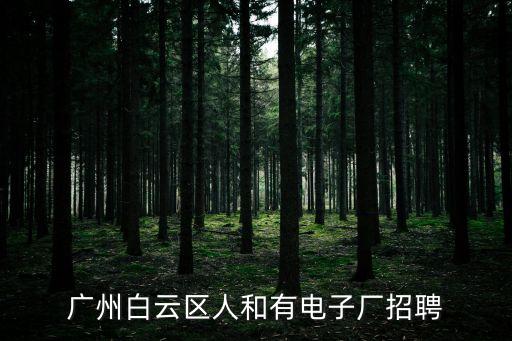 廣州白云區人和有電子廠招聘