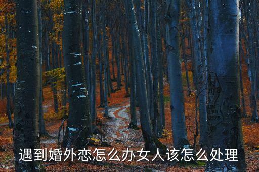 婚外戀情，婚 外 戀