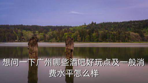 想問一下廣州哪些酒吧好玩點及一般消費水平怎么樣