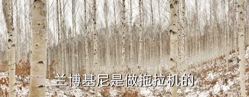蘭博基尼拖拉機，現(xiàn)在還有蘭博基尼拖拉機賣嗎