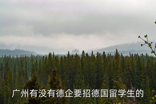 廣州有沒有德企要招德國留學生的
