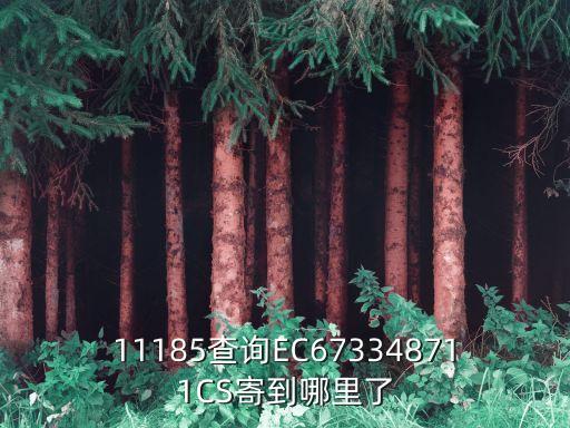 11185查詢EC673348711CS寄到哪里了