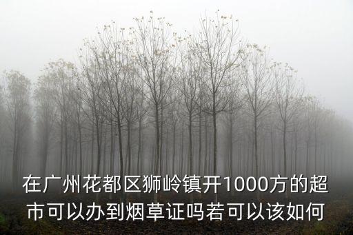 在廣州花都區(qū)獅嶺鎮(zhèn)開1000方的超市可以辦到煙草證嗎若可以該如何