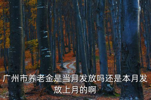 廣州市養老金是當月發放嗎還是本月發放上月的啊